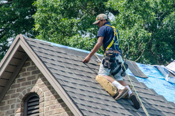 Best Commercial Roofing Services  in Ogden, UT